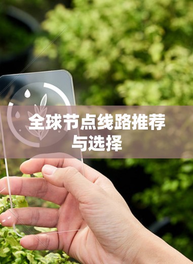 全球节点线路推荐与选择 全球节点线路推荐与选择