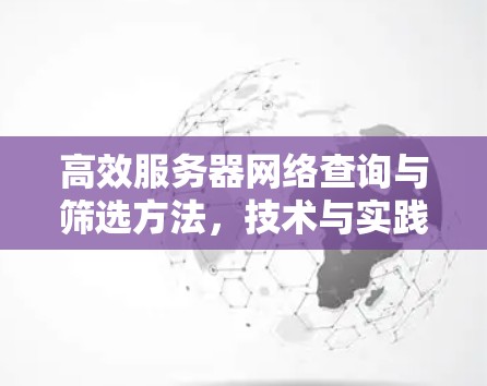 高效服务器网络查询与筛选方法，技术与实践解析