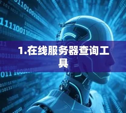 1.在线服务器查询工具