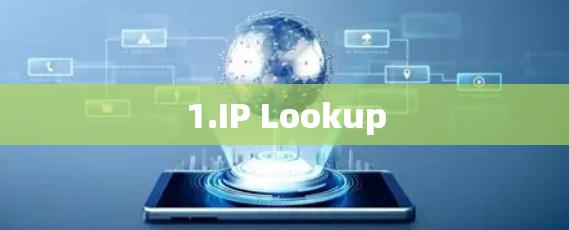 1.IP Lookup 1.IP Lookup