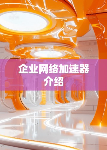 企业网络加速器介绍 企业网络加速器介绍