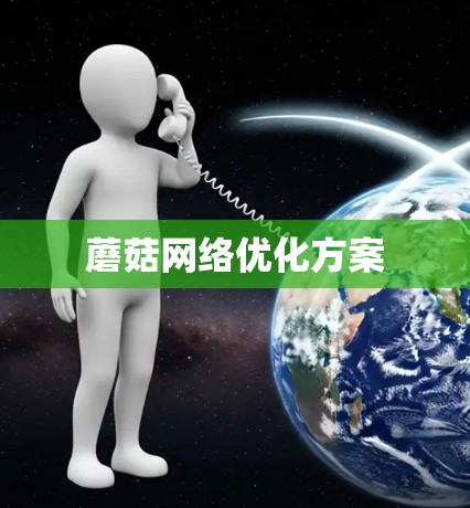 蘑菇网络优化方案