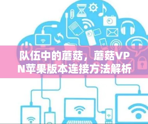 队伍中的蘑菇,蘑菇VPN苹果版本连接方法解析 队伍中的蘑菇,蘑菇VPN苹果版本连接方法解析