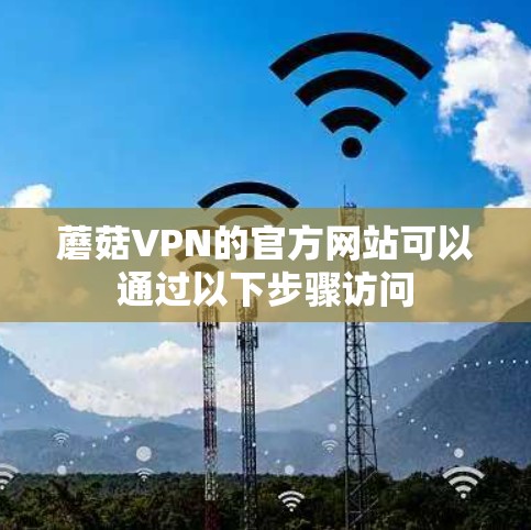 蘑菇VPN的官方网站可以通过以下步骤访问