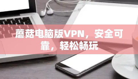 蘑菇电脑版VPN,安全可靠,轻松畅玩
