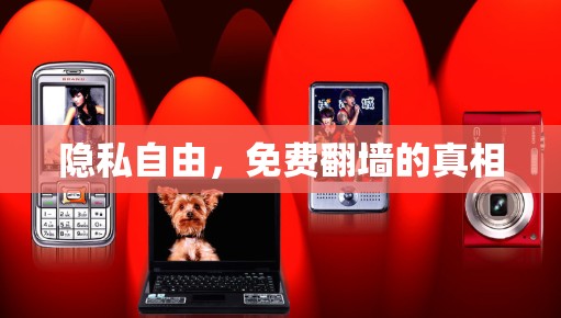 隐私自由,免费翻墙的真相