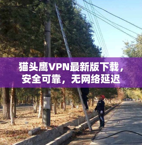 猫头鹰VPN最新版下载，安全可靠，无网络延迟