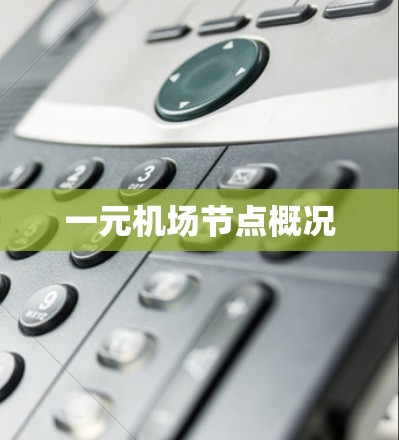 一元机场节点概况