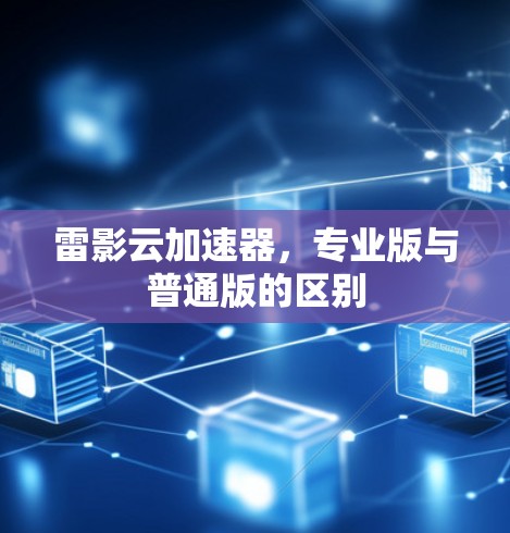 雷影云加速器,专业版与普通版的区别