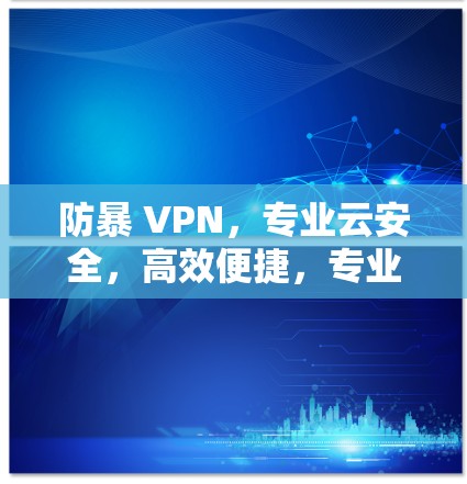 防暴 VPN,专业云安全,高效便捷,专业可靠 防暴 VPN,专业云安全,高效便捷,专业可靠
